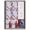 VITRINE FOND LIEGE 6 FEUILLES VITRINES