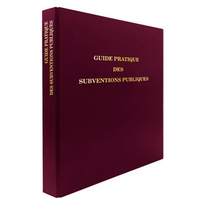 GUIDE PRATIQUE DES SUBVENTIONS PUBLIQUES POUR LES DIRIGEANTS DE PME GUIDES PRATIQUES ET CODE DU TRAVAIL GUIDE PRATIQUE DES SUBVENTIONS PUBLIQUES POUR LES DIRIGEANTS DE PME GUIDES PRATIQUES ET CODE DU TRAVAIL