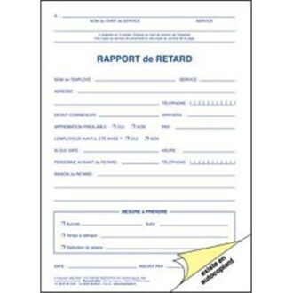 RAPPORT DE RETARD TRIPLI GESTION DU PERSONNEL