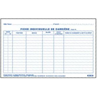 FICHE INDIVIDUELLE DE CARRIERE GESTION DU PERSONNEL