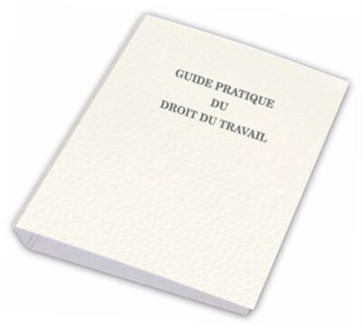 GUIDE PRATIQUE EN DROIT DU TRAVAIL GUIDES PRATIQUES ET CODE DU TRAVAIL