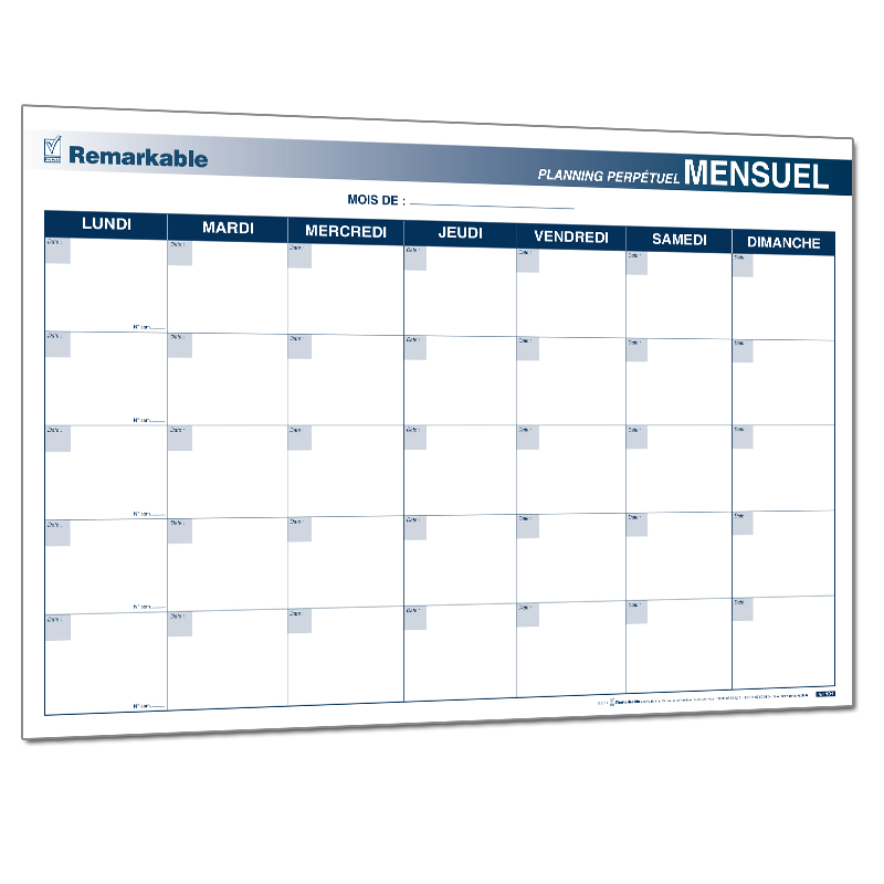GESTION DE PROJET SUR 1 MOIS PLANNINGS PERPETUELS NON DATES GESTION DE PROJET SUR 1 MOIS PLANNINGS PERPETUELS NON DATES