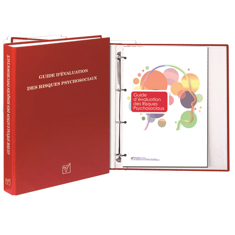 GUIDE D’EVALUATION DES RISQUES PSYCHOSOCIAUX DOCUMENTS UNIQUES - EVALUATION DES RISQUES
